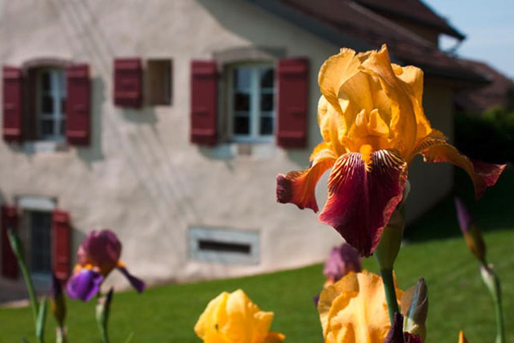 La Belle Saison Bed and Breakfast Mollens  Exteriör bild